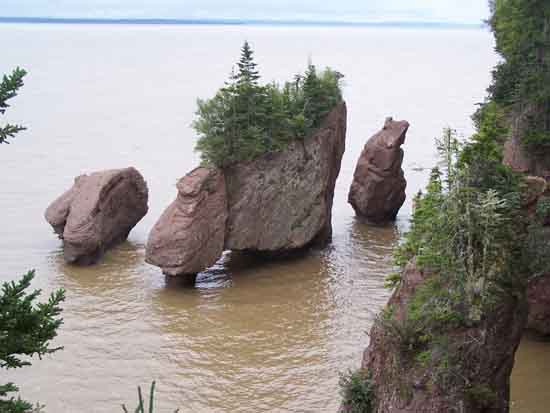 Bay of Fundy  New7Wonders of Nature